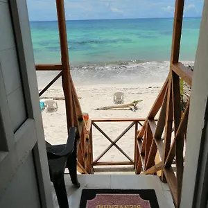 Pensión Miss Bassy's Lodging